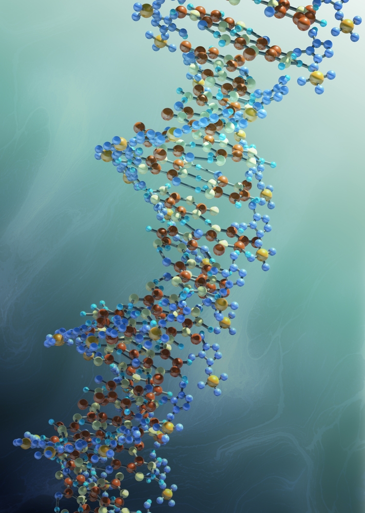 MSKx kMbpR DNA alpha Helix Model