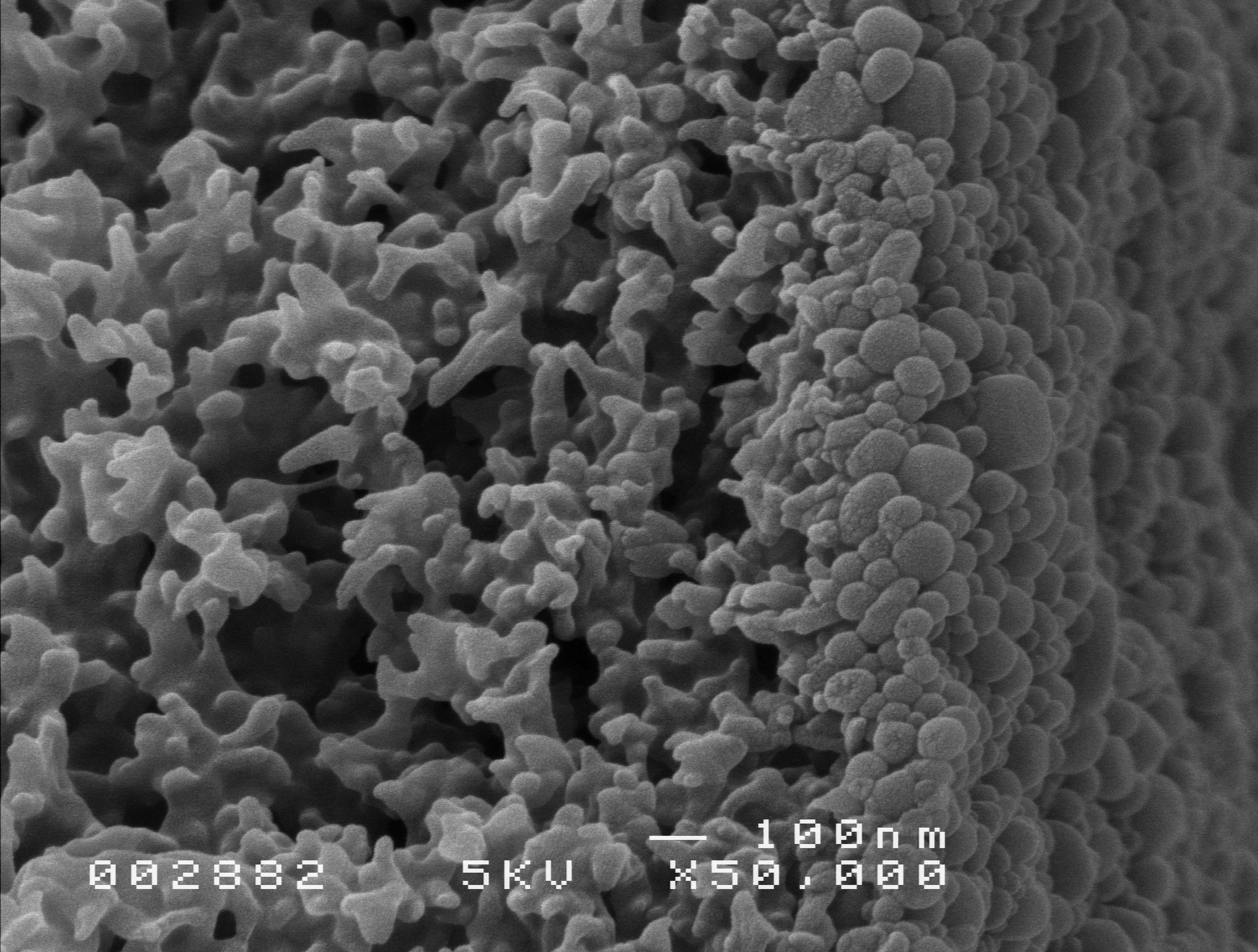 Nanodeeltjes op een membraan