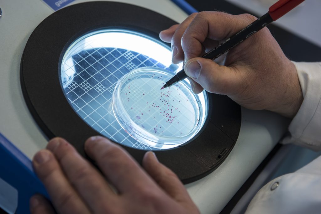 Biological activity Legionella Regrowth KWR