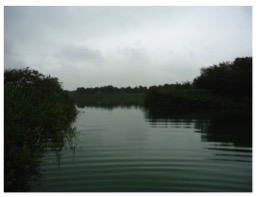 Dunea infiltration pond: How is the water quality in this water system affected by a possible addition of filtered Lek water, with its associated extra phosphorus load?