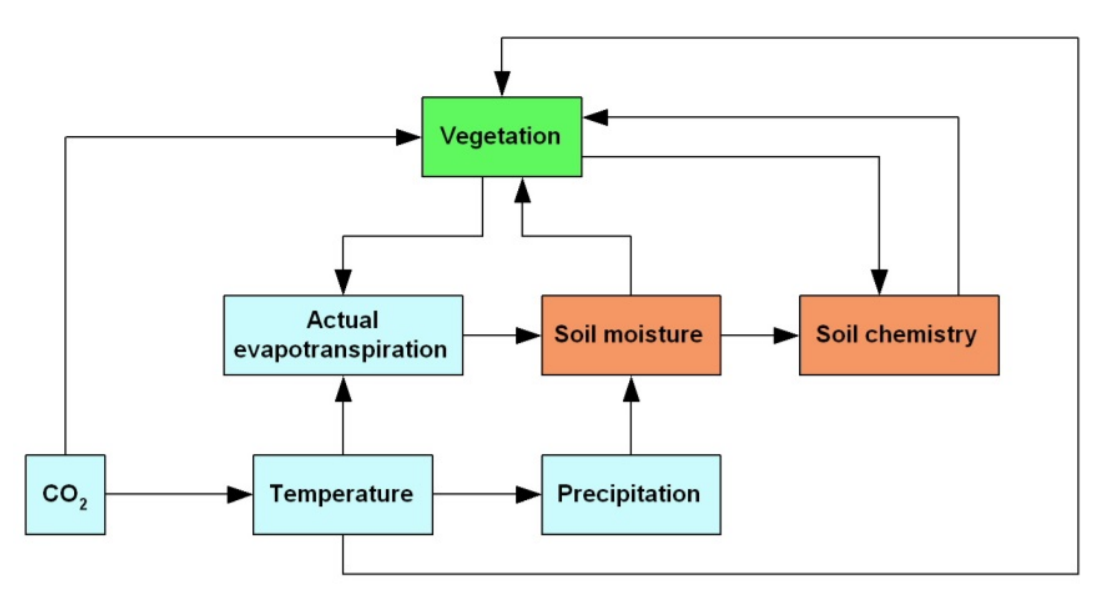 Procesdiagram van de invloed van klimaatverandering op bodem, water en vegetatie. Bron: managementsamenvatting in rapport
