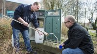Methamphetamine in Ermelo sewage remarkable for the Netherlands