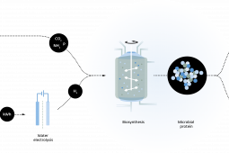 Nieuwe website Power-to-Protein: alles over het maken van eiwitten uit afvalwater