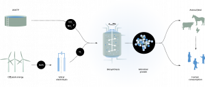 Nieuwe website Power-to-Protein alles over het maken van eiwitten uit afvalwater