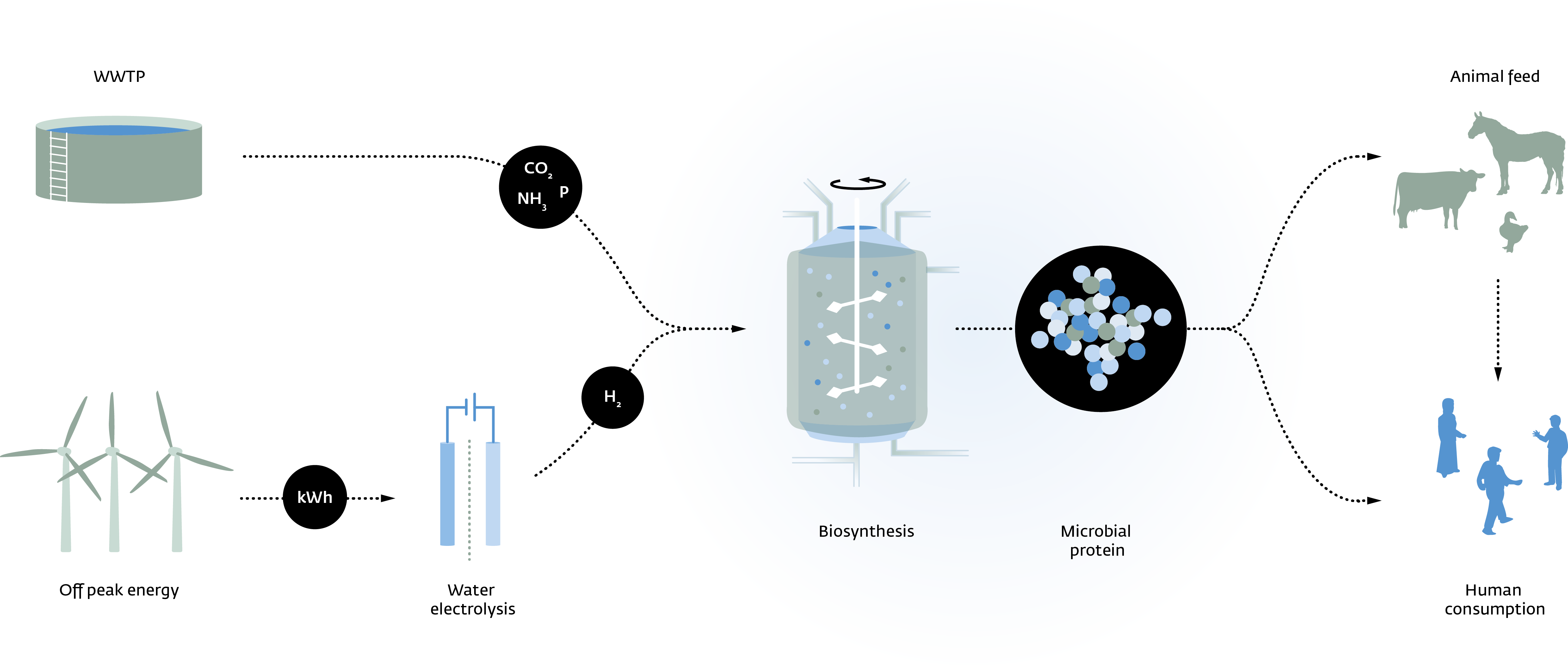 Nieuwe website Power to Protein alles over het maken van eiwitten uit afvalwater