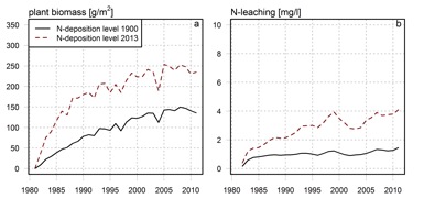 De met PROBE gesimuleerde ontwikkeling van de hoeveelheid biomassa en de nitraatuitspoeling gedurende 30 jaar ecosysteemsuccessie. De successie begint met kaal duinzand; onderscheid is gemaakt tussen een hoge en een lage atmosferische stikstofdepositie.