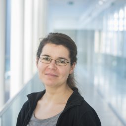 Stefanie Pflug