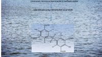 Van Leerdam and De Voogt in special publication American Chemical Society