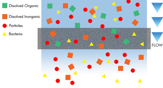 Removal of dissolved substances by a membrane or adsorption materiall