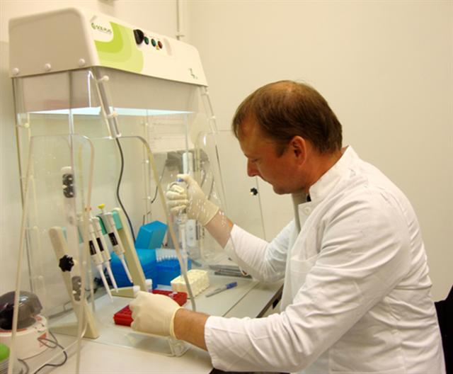 Preparation of PCR reagents and master mix in a PCR cabinet.