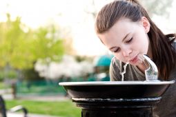 Nationale en internationale samenwerking rond toxicologie opkomende stoffen