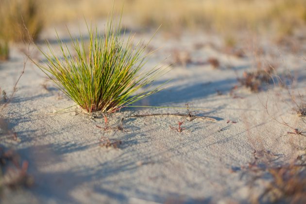 Dune water company joint research (DPWE)