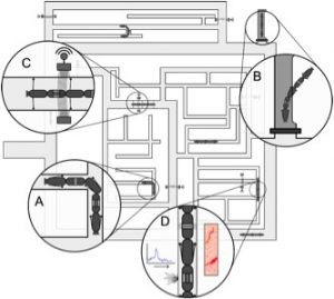 Vision of a system of autonomous robots that can (A) freely move through the network; (B) be introduced and removed locally for maintenance work; (C) be powered at, and deliver data to, various points in the network; and (D) conduct relevant measurements wherever they are.