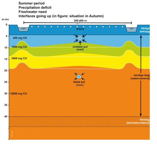 Figure 2c: Operation of the Freshmaker principle during the growing season