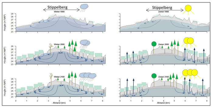 Tijdvensters uit de ontwikkeling van de grondwaterstand in de Stippelbergregio.