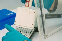 Are PMOCs less toxic?