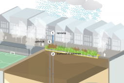 Urban Waterbuffer gives value to excess rainwater