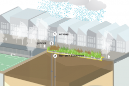 Urban Waterbuffer geeft waarde aan overtollig regenwater