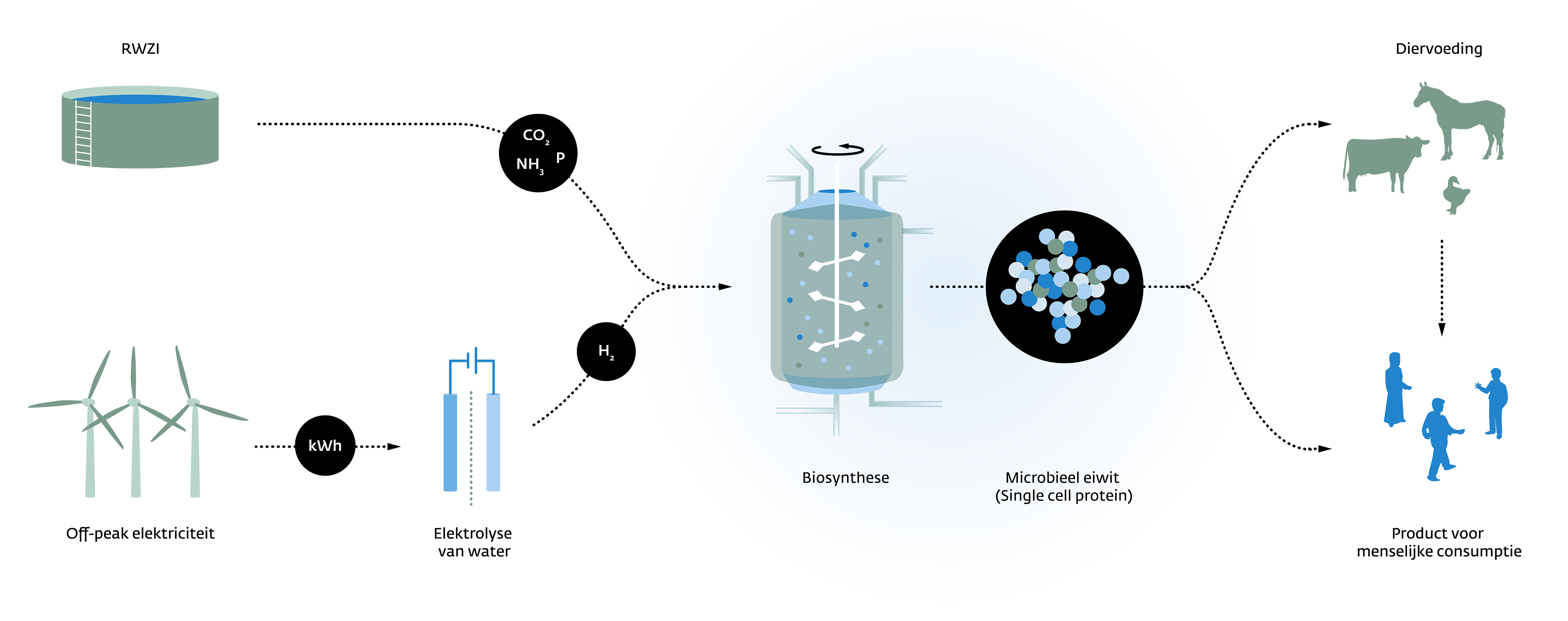 Power to Protein concept