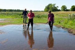 How can we achieve excellent water quality?