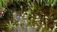 Waterwijzer Natuur en Waterwijzer Landbouw gelanceerd