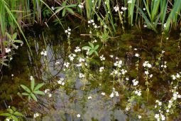 Waterwijzer Natuur en Waterwijzer Landbouw gelanceerd