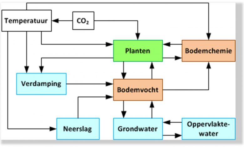 Fig. 1. Effecten van klimaatverandering op de vegetatie.