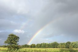 Water in the City: rain after sunshine!