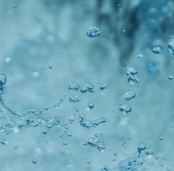 Waterwijs Praktijkprijs 2025: Stem nu!