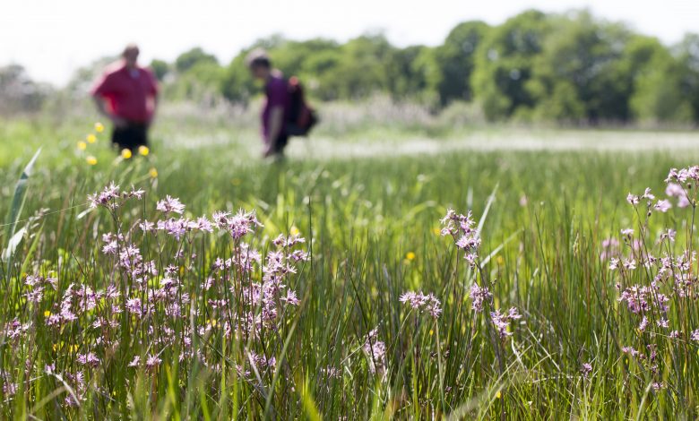 190508 Drentse Aa bij blog biodiversiteit