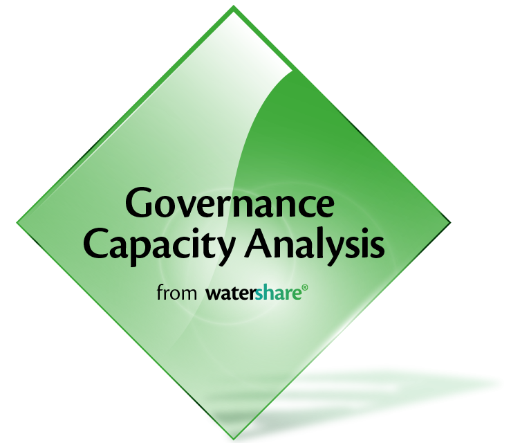 Governance Capacity Analysis