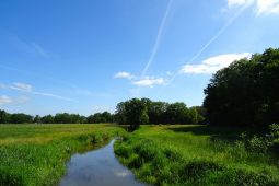 Quality of drinking water sources under growing pressure