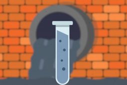 COVID-19  Rioolwater-onderzoek