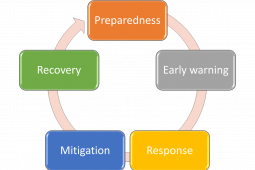 DEMOS<sup>©</sup>: Digital Epidemic Observatory and Management System<sup>©</sup>