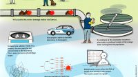 Tracking SARS-CoV-2 in sewers and in patients