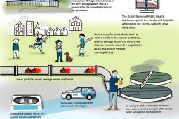 Tracking SARS-CoV-2 in sewers and in patients