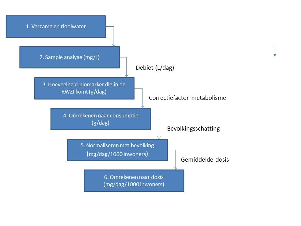 Steenbeek_WBE_schema_NL