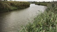 PFAS: an ongoing focus in the water sector