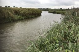 PFAS blijven aandacht vragen in de watersector