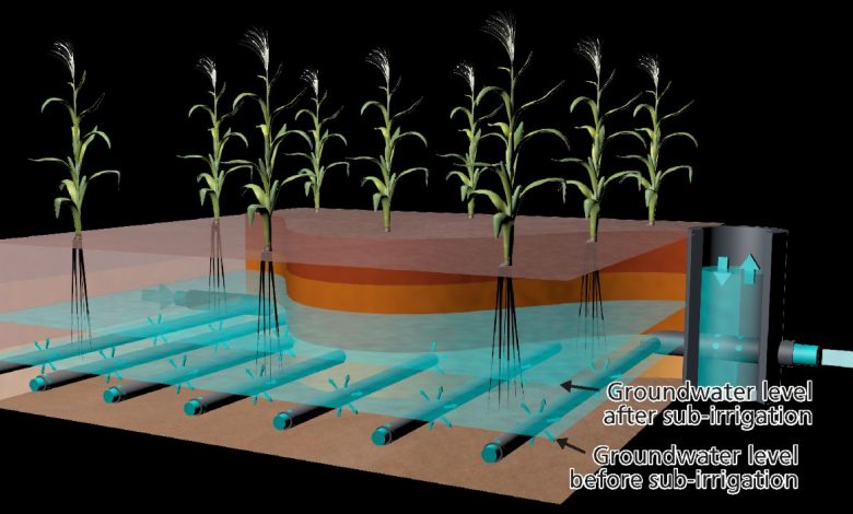 Schematic overview of sub-surface irrigation systems
