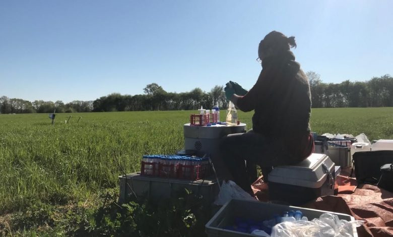 Dominique filtering the samples on-site