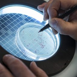 Special Legionella en lage temperatuur warmtapwatersystemen verschenen