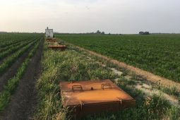 Hulp aan telers bij het verbeteren van de eigen zoetwatersituatie