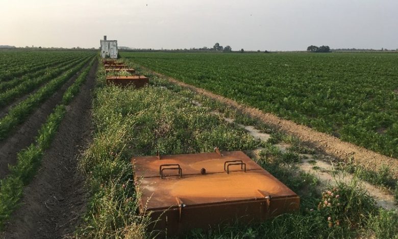 Veldimpressie van de drainputten en waterruimte op het perceel van Meulwaeter tussen de penen.