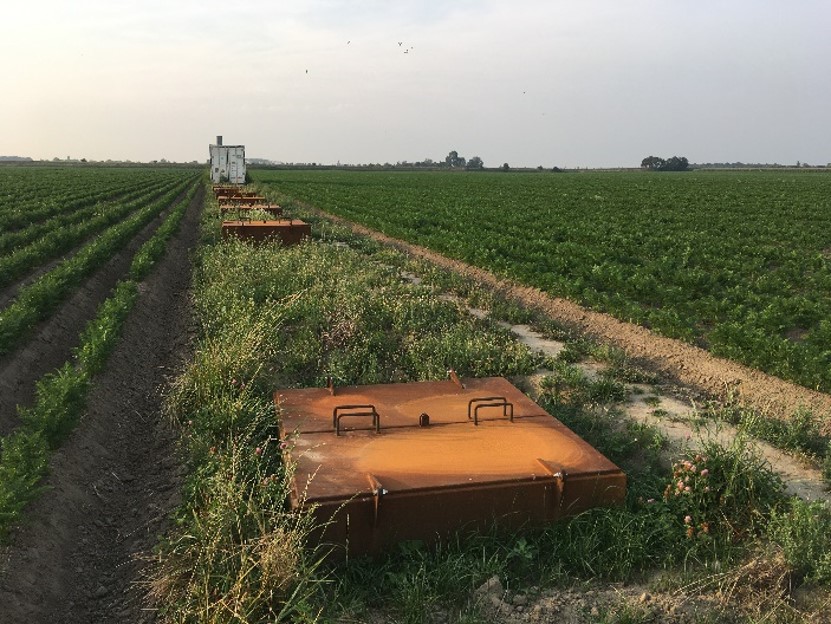 Veldimpressie van de drainputten en waterruimte op het perceel van Meulwaeter tussen de penen.