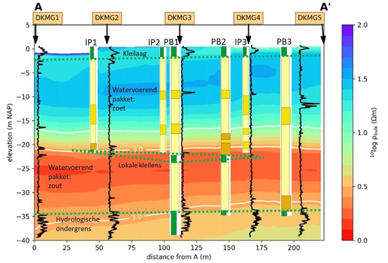 Indicatieve weergave van de bodemopbouw en de verdeling van zoet en zout grondwater, gebaseerd op CVES-profiel A-A' en sonderingen (Figuur 3-5 en Figuur 3-7 in rapport KWR 2019.071) en boorstaten van putten. De putten liggen niet exact op CVES-profiel A-A’ maar zijn ter indicatie ingevoegd op de meest nabije locatie op dit profiel.