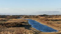 Dune water abstraction: flexible pond management requires tailoring