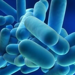 Legionella in biologische waterzuiveringsinstallaties: handvatten voor een gestructureerde beheersing van legionellarisico’s