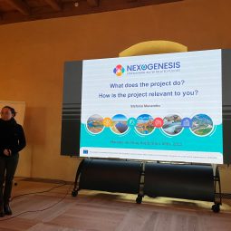 Applying the Nexogenesis Water-Energy-Food-Ecosystem Nexus governance approach: update from the three field visits.