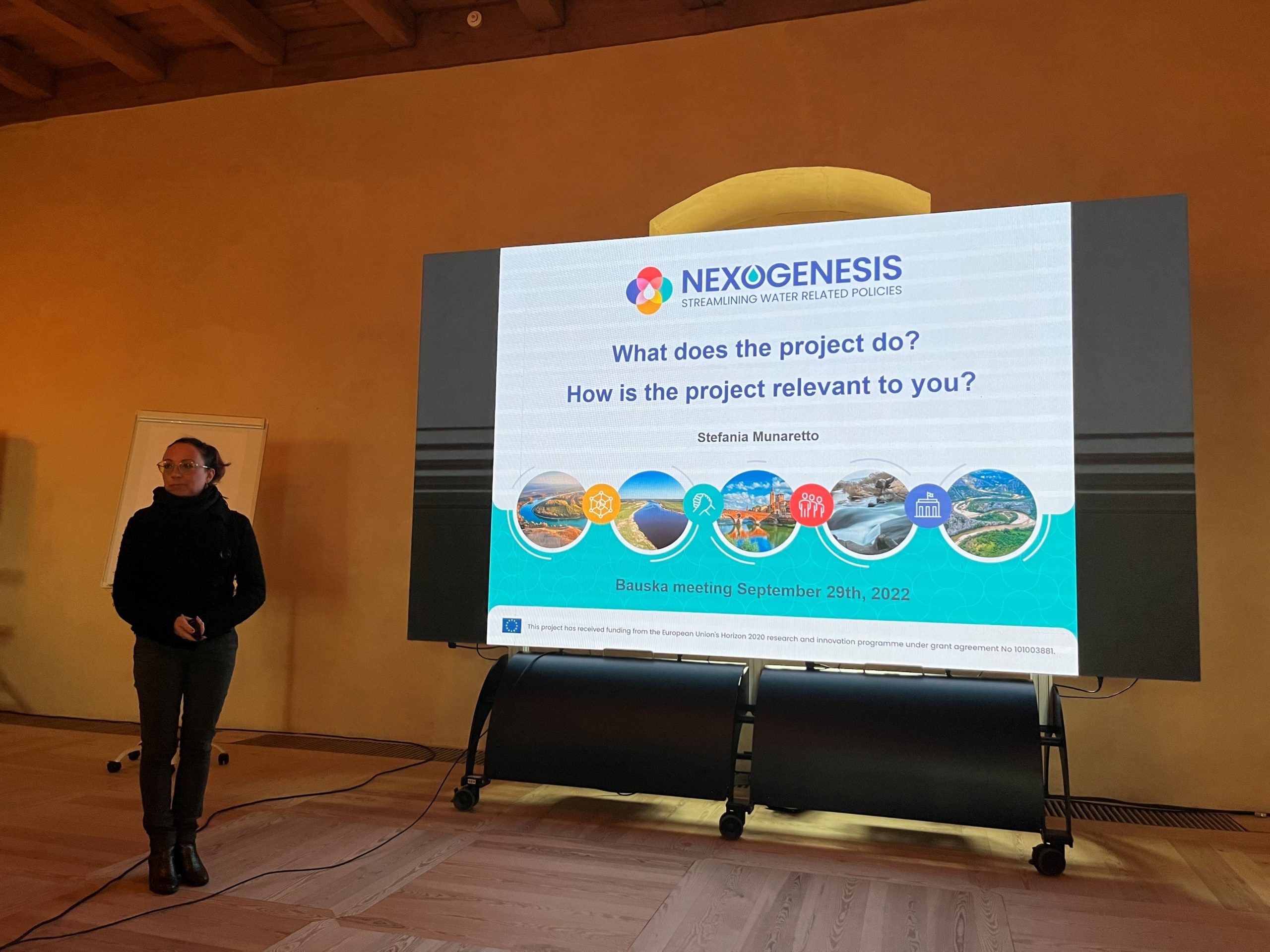 Applying the Nexogenesis WaterEnergyFoodEcosystem Nexus governance